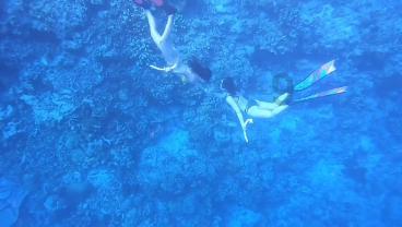 【历史上著名的6次削藩：4次成功2次失败