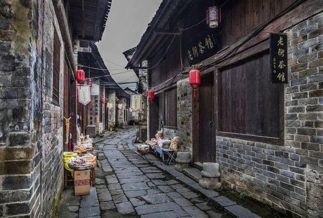 小鸡要回家